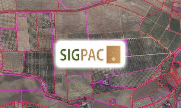 Si Pac ¿Qué es el REA y cómo funciona el SIGPAC? - OAX Software